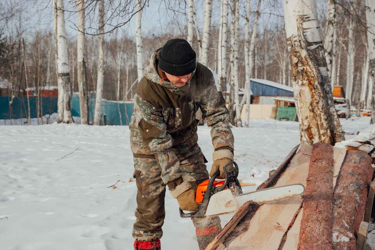 Best Tree Branch Trimming  in Pine Hills, FL